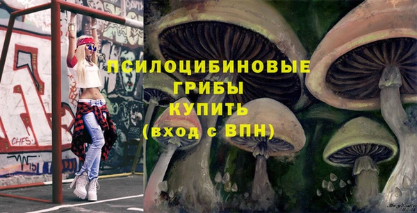 метадон Мегион