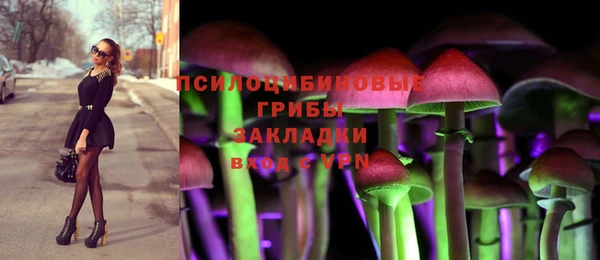 гидропоника Магадан
