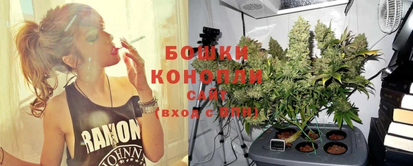 гашик Медвежьегорск